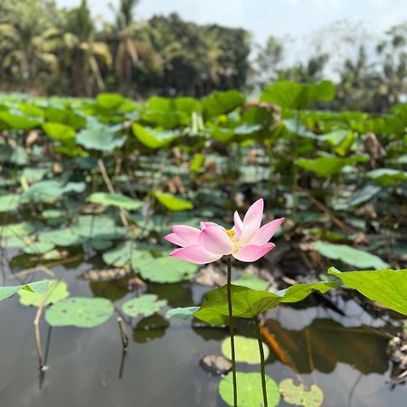 Huong Tram Homestay Ho Da Bagian luar foto