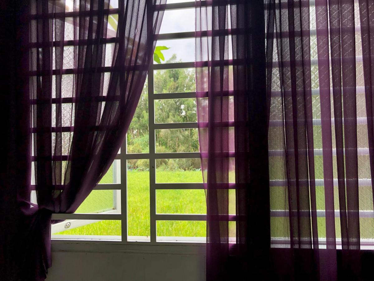 Huong Tram Homestay Ho Da Bagian luar foto