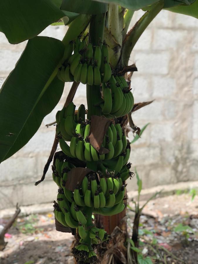 Huong Tram Homestay Ho Da Bagian luar foto