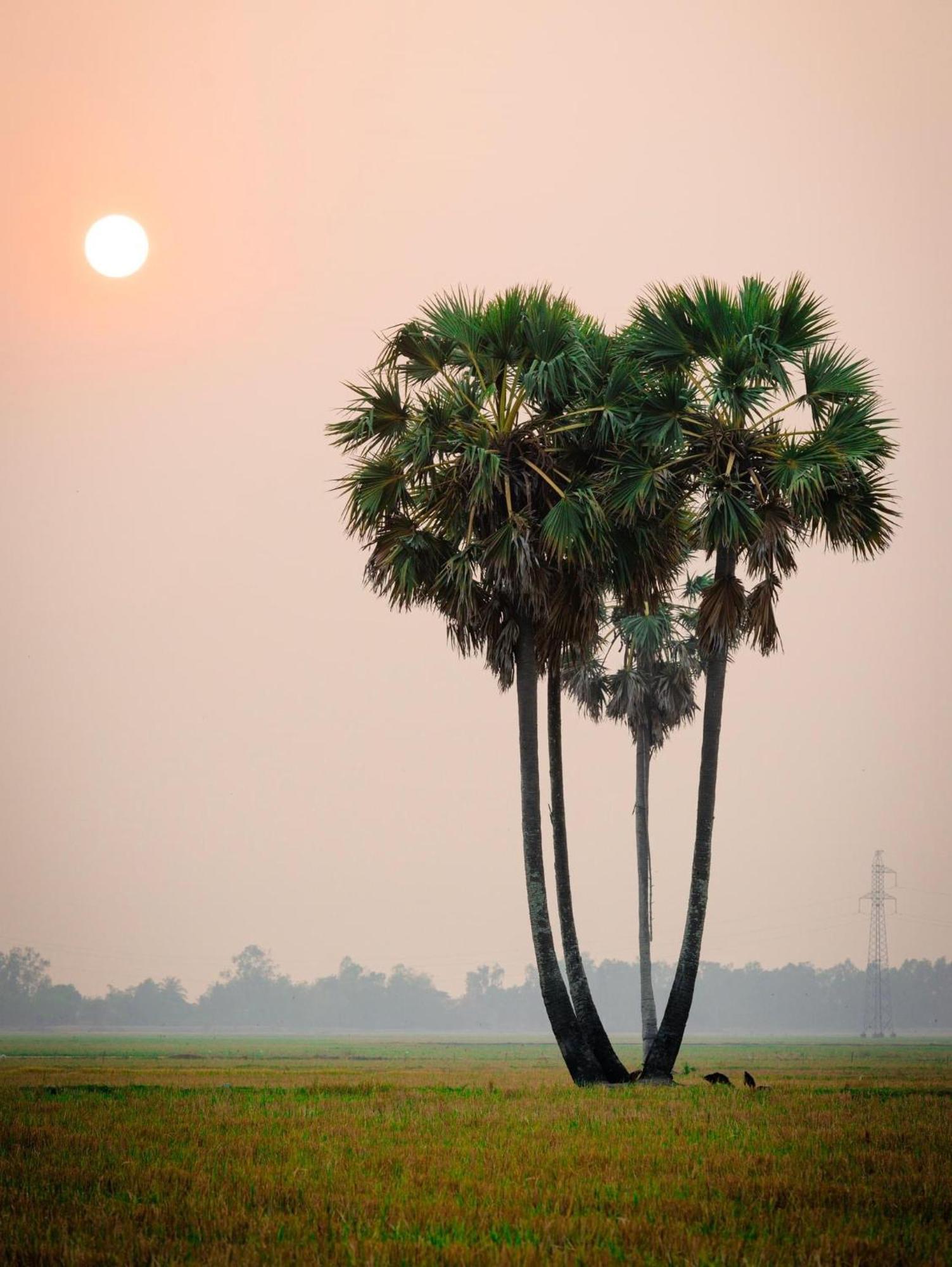 Huong Tram Homestay Ho Da Bagian luar foto