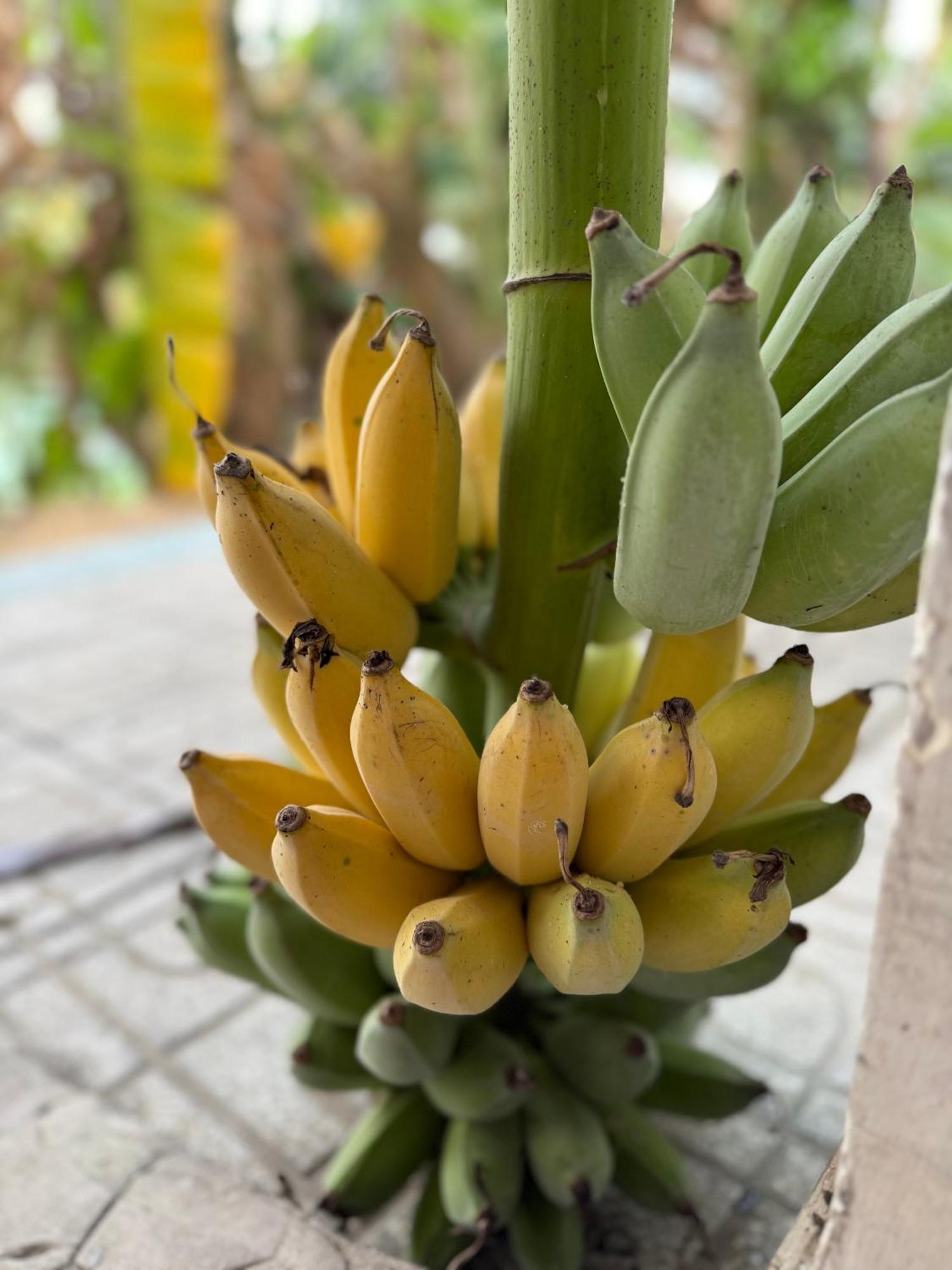 Huong Tram Homestay Ho Da Bagian luar foto