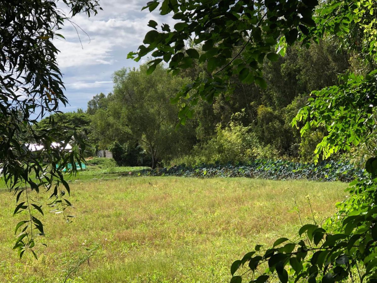 Huong Tram Homestay Ho Da Bagian luar foto